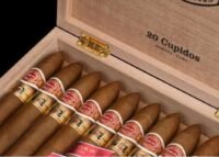 Romeo yJulieta Cupidos